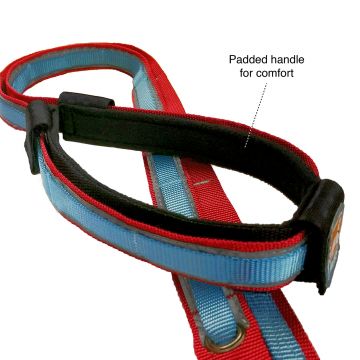 Kurgo Quantum 6-in-1 Leash Red/Blue