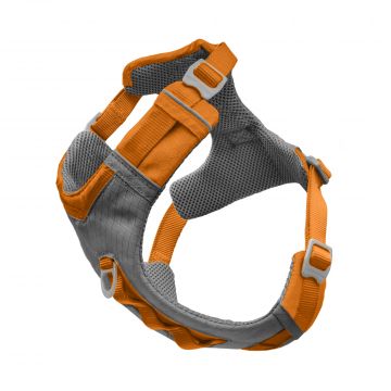 Kurgo Journey Air Harness Large Orange