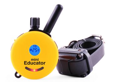 ET-300 Mini Educator