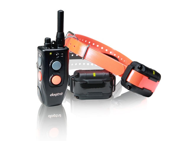 Dogtra 302m store