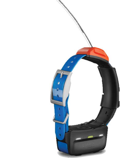 London Forbedre sværd Collar Clinic: Reconditioned Garmin Astro T5 Collar