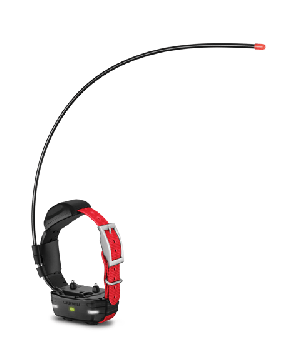Garmin TT15 Mini Dog GPS Tracking/Training Collar