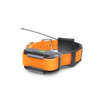 Dogtra Pathfinder SE Special Editions Add-on Collar