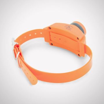 best beeper collar