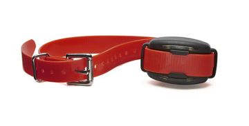 BigLeash V-10 Add-on Collar