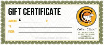 $100.00 Collar Clinic Gift Certificate
