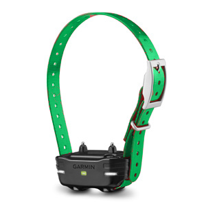 Garmin PT10 Add-on Collar with Green Strap