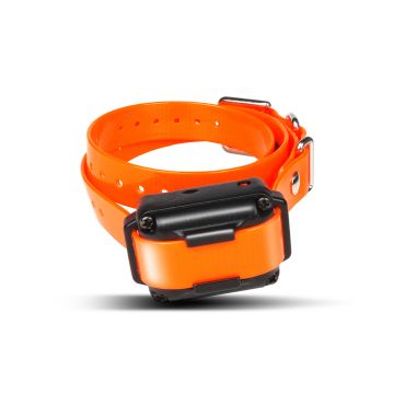 Dogtra iQ Plus Add On Collar