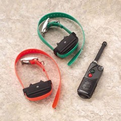 Reconditioned Multi Sport S 2 dog