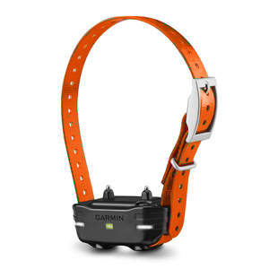 Garmin PT10 Collar with Orange Strap